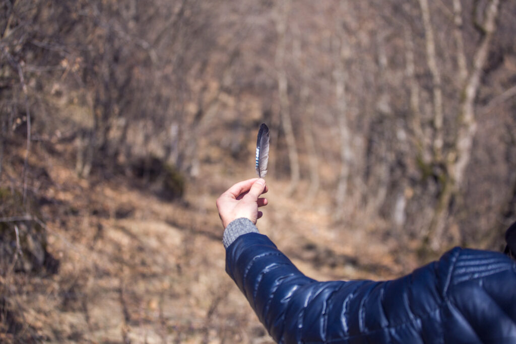 stories worth publishing